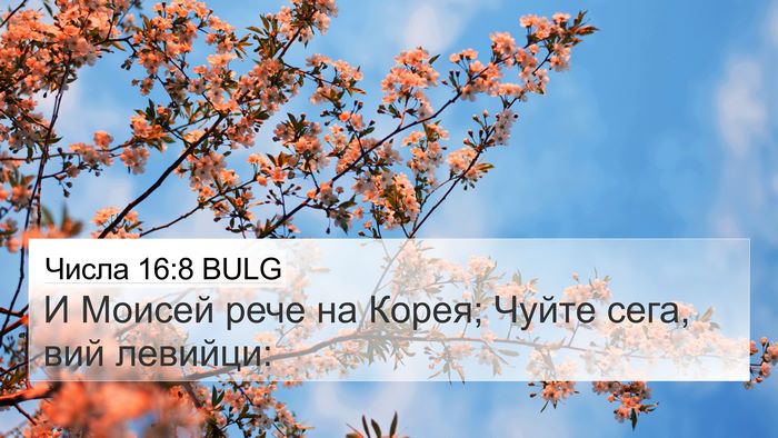 Числа 16:8 BULG Bible Verse Image