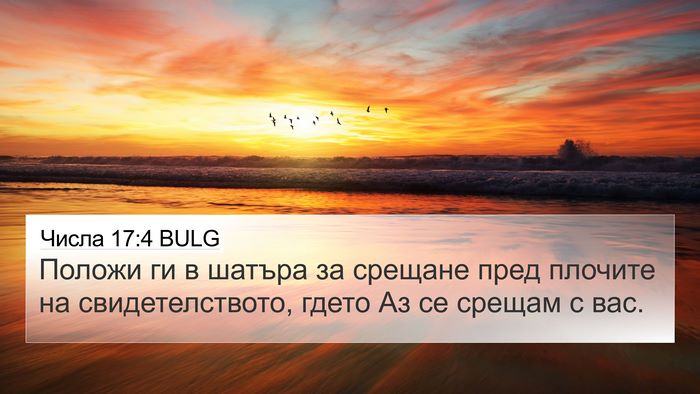 Числа 17:4 BULG Bible Verse Image
