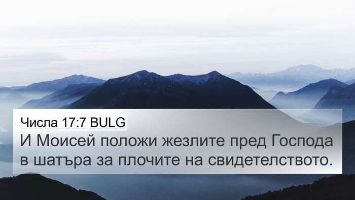 Числа 17:7 BULG Bible Verse Image