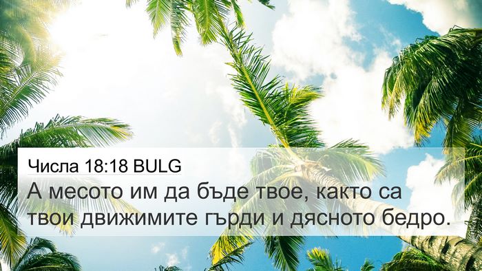 Числа 18:18 BULG Bible Verse Image