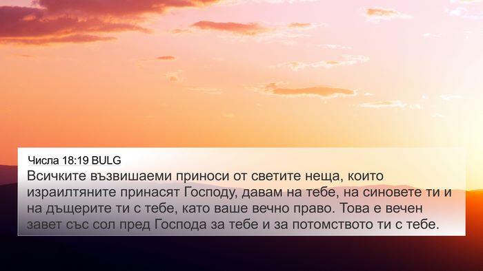 Числа 18:19 BULG Bible Verse Image