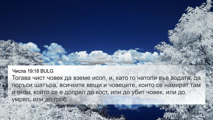 Числа 19:18 BULG Bible Verse Image