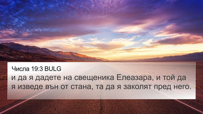 Числа 19:3 BULG Bible Verse Image