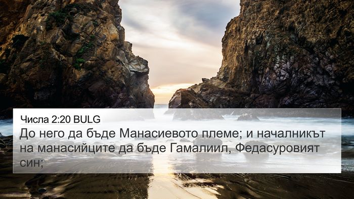 Числа 2:20 BULG Bible Verse Image