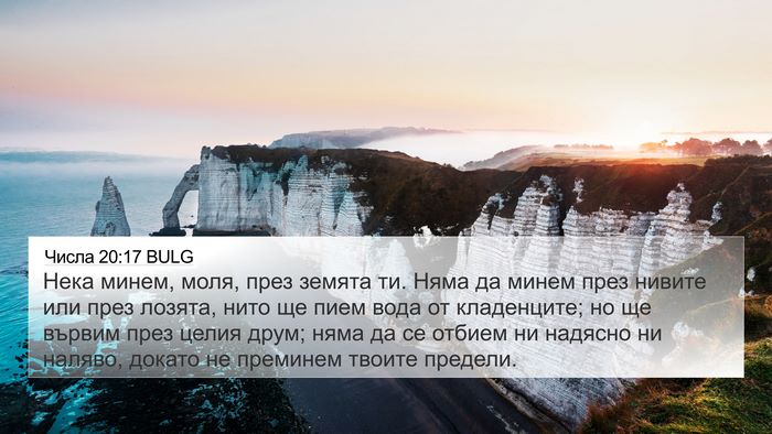 Числа 20:17 BULG Bible Verse Image