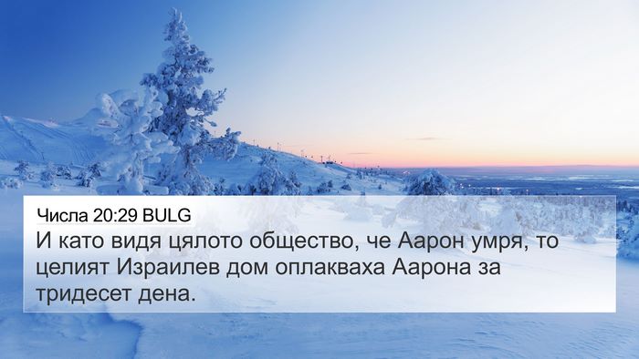 Числа 20:29 BULG 4K Wallpaper - И като видя цялото - 4K Wallpaper Bible Verse