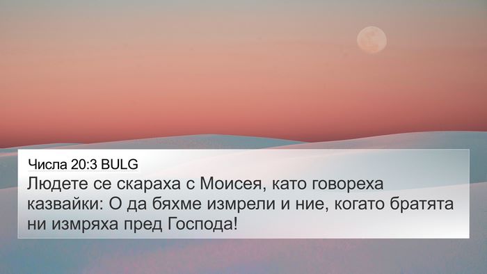 Числа 20:3 BULG Bible Verse Image