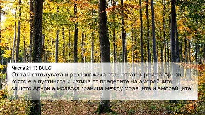Числа 21:13 BULG Bible Verse Image
