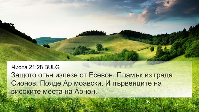 Числа 21:28 BULG Bible Verse Image