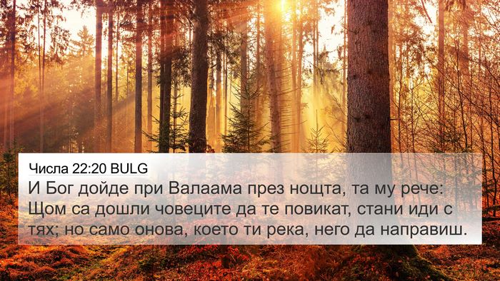 Числа 22:20 BULG Bible Verse Image