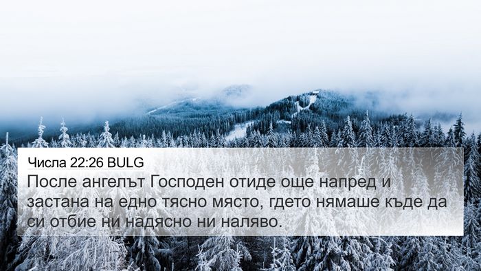 Числа 22:26 BULG 4K Wallpaper - После ангелът Господен - 4K Wallpaper Bible Verse