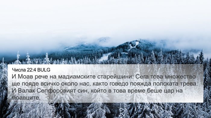 Числа 22:4 BULG Bible Verse Image