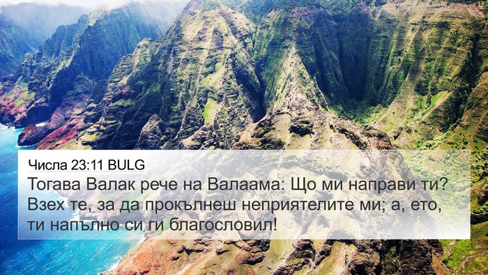 Числа 23:11 BULG Bible Verse Image