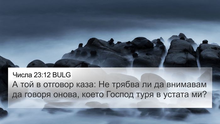 Числа 23:12 BULG Bible Verse Image
