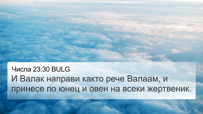 Числа 23:30 BULG Bible Verse Image