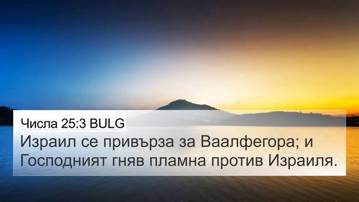 Числа 25:3 BULG Bible Verse Image