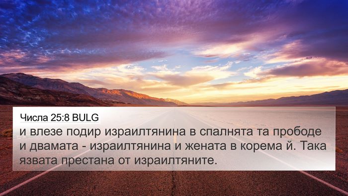 Числа 25:8 BULG Bible Verse Image
