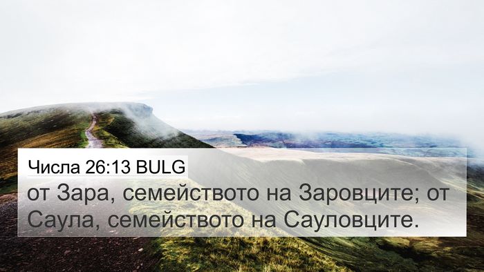 Числа 26:13 BULG Bible Verse Image