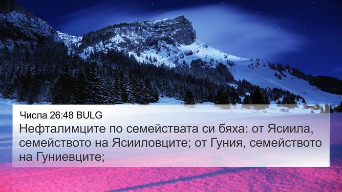 Числа 26:48 BULG Bible Verse Image