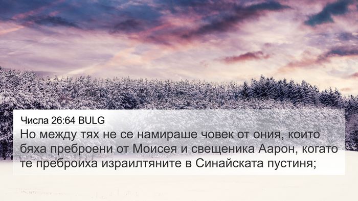 Числа 26:64 BULG Bible Verse Image