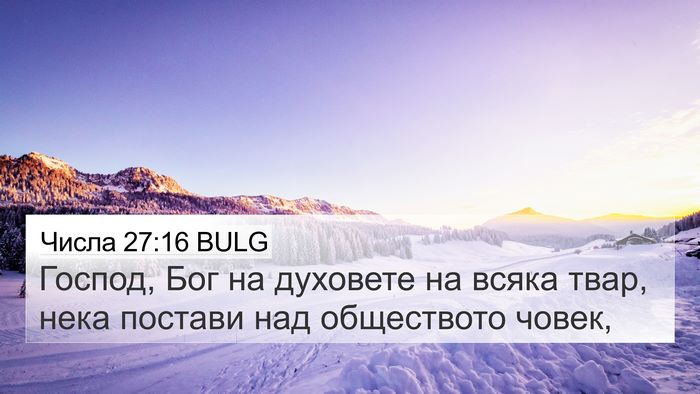 Числа 27:16 BULG Bible Verse Image