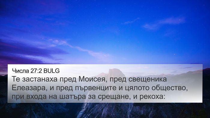 Числа 27:2 BULG Bible Verse Image