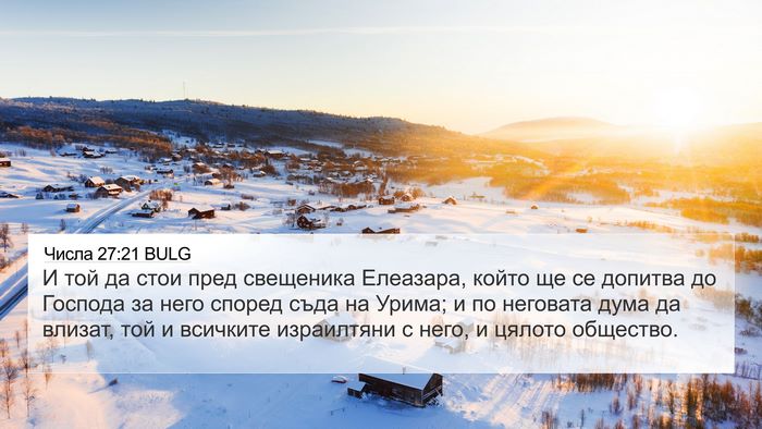 Числа 27:21 BULG Bible Verse Image