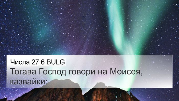 Числа 27:6 BULG Bible Verse Image