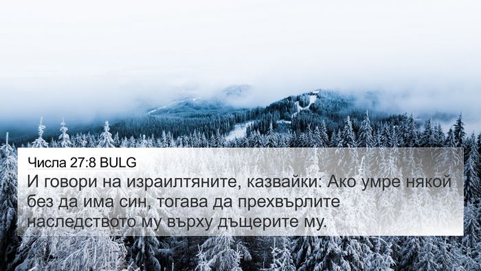 Числа 27:8 BULG 4K Wallpaper - И говори на израилтяните, - 4K Wallpaper Bible Verse