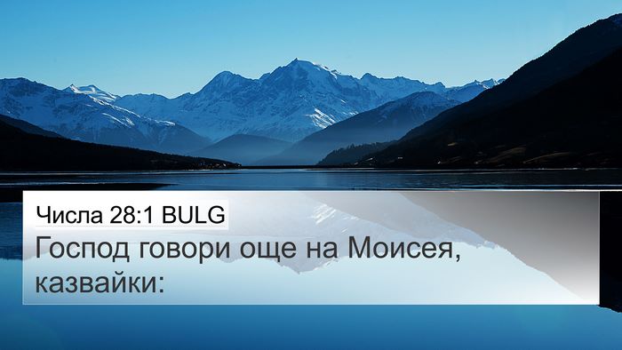 Числа 28:1 BULG Bible Verse Image