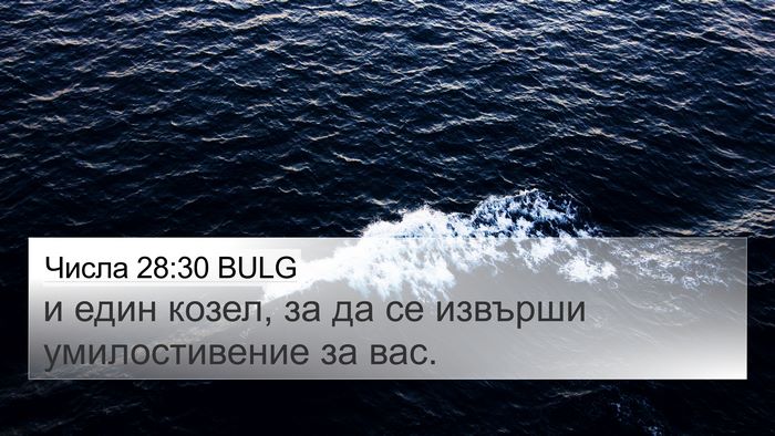 Числа 28:30 BULG Bible Verse Image