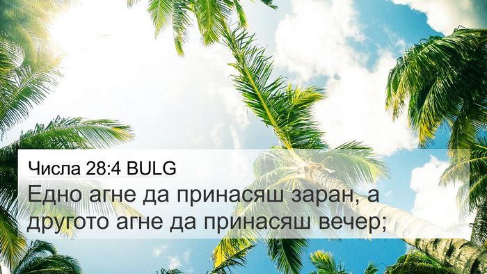 Числа 28:4 BULG 4K Wallpaper - Едно агне да принасяш - 4K Wallpaper Bible Verse