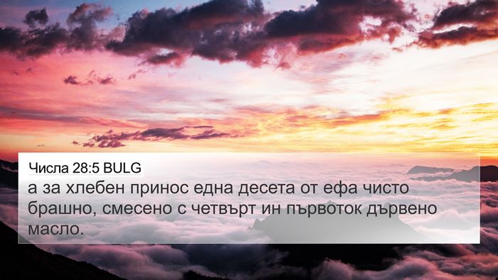 Числа 28:5 BULG Bible Verse Image