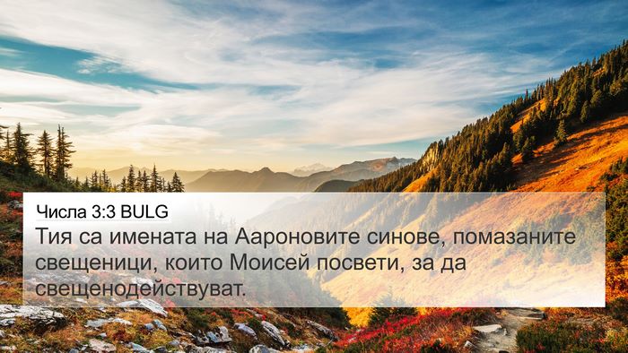Числа 3:3 BULG Bible Verse Image