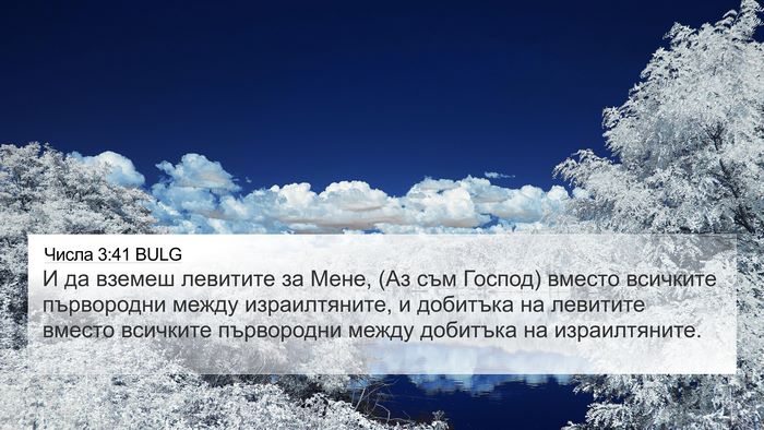 Числа 3:41 BULG Bible Verse Image