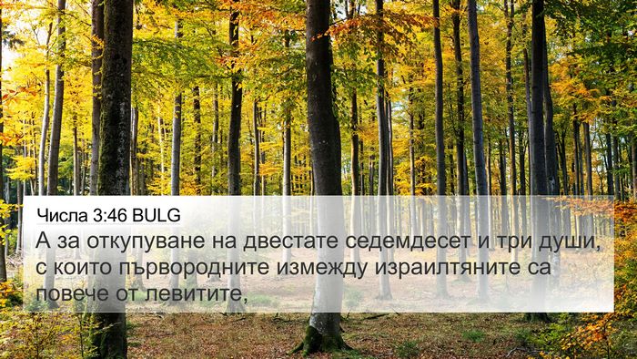 Числа 3:46 BULG 4K Wallpaper - А за откупуване на - 4K Wallpaper Bible Verse