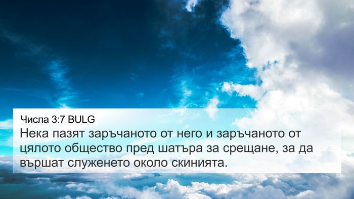 Числа 3:7 BULG Bible Verse Image