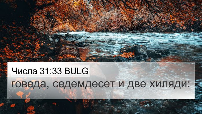 Числа 31:33 BULG 4K Wallpaper - говеда, седемдесет и две - 4K Wallpaper Bible Verse