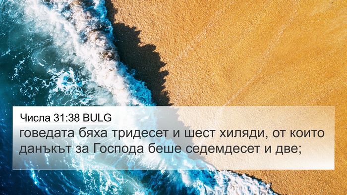 Числа 31:38 BULG 4K Wallpaper - говедата бяха тридесет и - 4K Wallpaper Bible Verse
