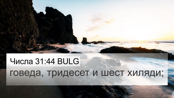 Числа 31:44 BULG 4K Wallpaper - говеда, тридесет и шест - 4K Wallpaper Bible Verse