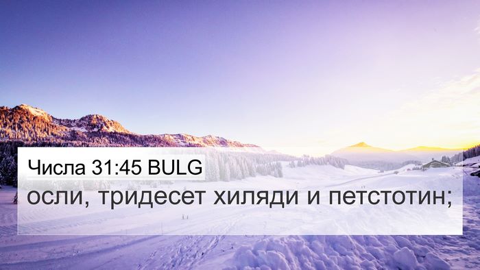 Числа 31:45 BULG 4K Wallpaper - осли, тридесет хиляди и - 4K Wallpaper Bible Verse