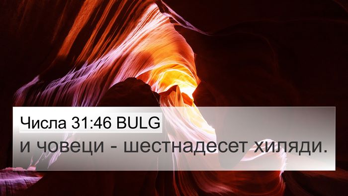 Числа 31:46 BULG 4K Wallpaper - и човеци - шестнадесет - 4K Wallpaper Bible Verse