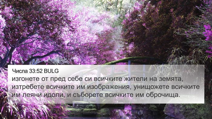 Числа 33:52 BULG Bible Verse Image