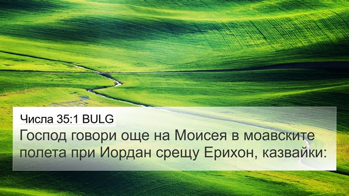 Числа 35:1 BULG Bible Verse Image