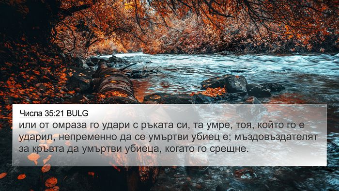 Числа 35:21 BULG Bible Verse Image