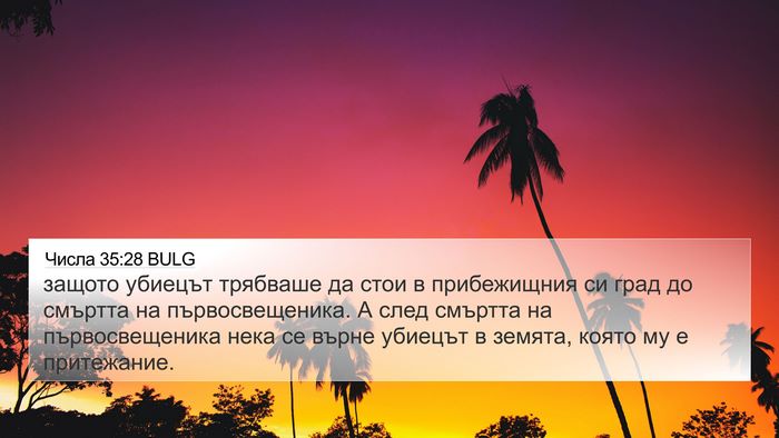 Числа 35:28 BULG 4K Wallpaper - защото убиецът трябваше да - 4K Wallpaper Bible Verse