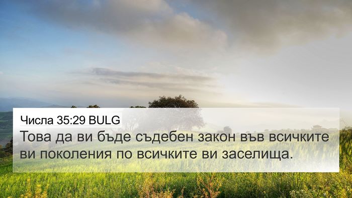 Числа 35:29 BULG 4K Wallpaper - Това да ви бъде съдебен - 4K Wallpaper Bible Verse