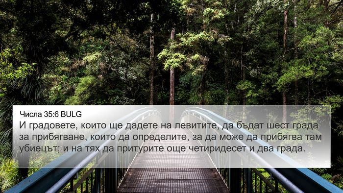 Числа 35:6 BULG Bible Verse Image