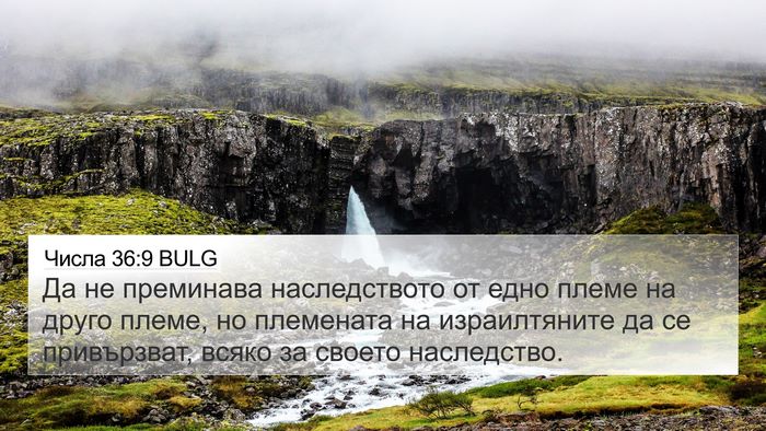 Числа 36:9 BULG Bible Verse Image