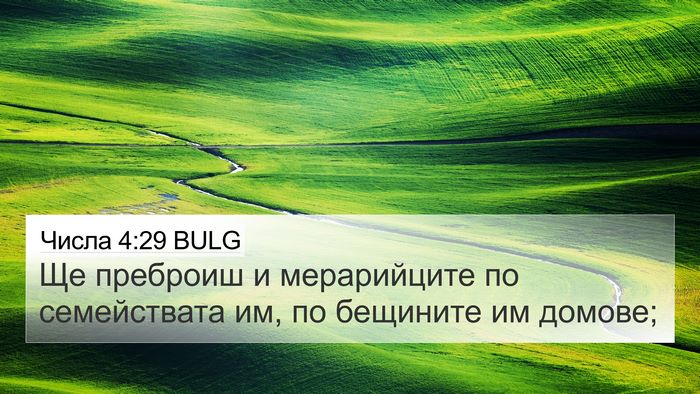 Числа 4:29 BULG Bible Verse Image